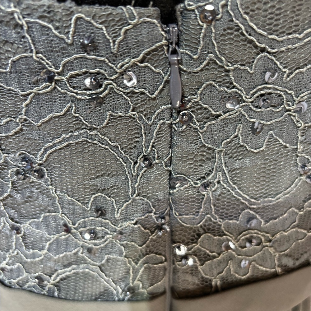 MORILEE A-line Chiffon Evening Beaded Embroidery Ethereal Airy MOB MOG Size 18 - Picture 11 of 15